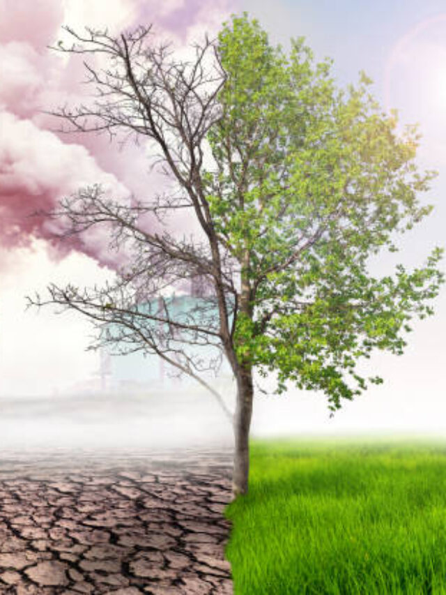 Most 5 Reason to   Climate Change